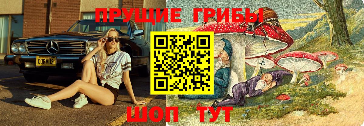 Галлюциногенные грибы мицелий Каменск-Уральский